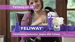 Ceva Animal Health has launched a new national TV advertising campaign to raise awareness of the benefits of its veterinary behaviour product Feliway amongst cat owners.