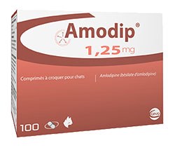 Ceva launches Amodip for the treatment of hypertension in cats