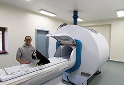 Cave Veterinary Specialists, a referral centre based near Taunton, Somerset, has announced the launch of a significantly extended neurology and neurosurgery service.