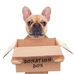 84% of veterinary surgeons give up time to work with animal charities and shelters. 