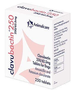 Animalcare has announced the launch of Clavubactin (amoxicillin/clavulanate) for dogs and cats
