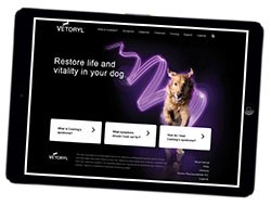 Dechra Veterinary Products has launched www.canine-cushings.co.uk, a new website for owners of dogs with Cushing’s syndrome, to support the advice given by their veterinary surgeon.