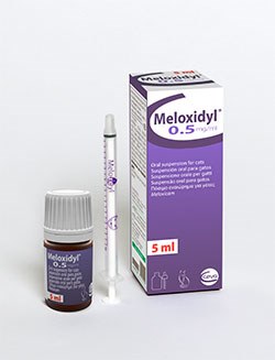 Ceva Animal Health has extended its Meloxidyl dogs and cats’ range with the launch of a new 5ml Meloxidyl oral suspension for cats.
