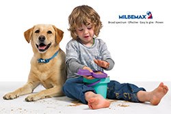 Elanco Animal Health has announced the launch of a Milbemax television advertising campaign