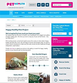 The National Office of Animal Health (NOAH) has launched 'The Happy Healthy Pets Project', designed to encourage owners to prioritise pet healthcare.