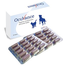 Invicta Animal Health has announced the launch of Ocuvance, a nutritional supplement to support ocular health in dogs and cats.