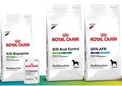 Royal Canin has announced that it will be launching Multifunction, a new range of veterinary diets designed for cats and dogs experiencing - or at risk of - multiple health conditions.