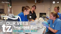 Twycross video offers insight to life as a zoo vet