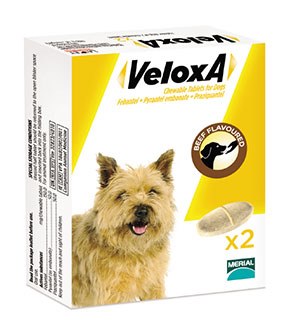 Merial Animal Health has launched Veloxa, a palatable broad spectrum dewormer for dogs, effective against roundworm, hookworm, whipworm and tapeworm.
