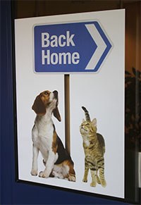A large BackHome display poster