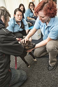 Virbac has announced that it is to support the work of Glasgow student vets buy supplying their homeless project with vaccines and parasiticides.