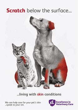 XLVets, the collaborative group of 45 independent small animal practices, has announced the launch of 'Scratch Below the Surface', a campaign to raise awareness of skin conditions amongst pet owners. 