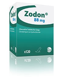 Ceva has announced the launch of Zodon®, a flavoured clindamycin for dogs and cats.