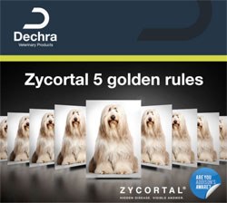 Dechra Veterinary Products - maker of Zycortal - has teamed up with some of Europe’s leading endocrinologists to draw up 'Five Golden Rules', a set of guidelines designed to help veterinary professionals who are diagnosing and treating canine hypoadrenocorticism.