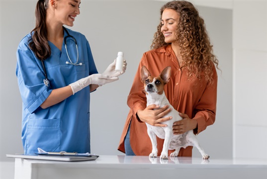 Study shows most adverse veterinary drug reactions go unreported