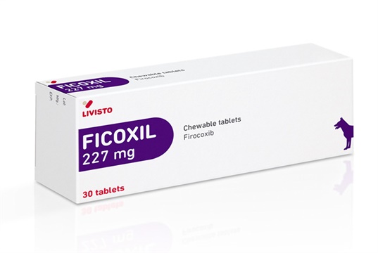 Forte launches Ficoxil NSAID for dogs