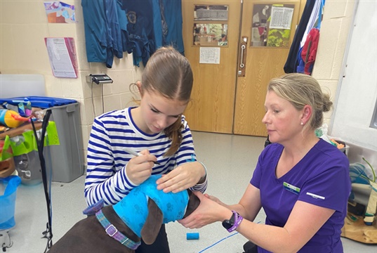 Scottish vet group launches course to give teenagers a taste of life as a vet nurse