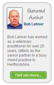 Bob Lehner