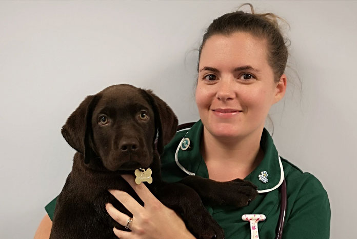 Oxfordshire RVN awarded MSD's first Veterinary Nurse Research Bursary -  VetNurse News - Vet Nurse - Vet Nurse