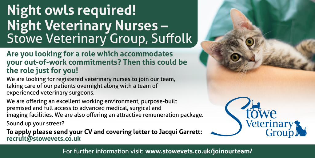 Job: RVN or Student Veterinary Nurse. Stowe Veterinary Group, Suffolk - Jobs - Vet Nurse - Vet Nurse Job: RVN or Student Veterinary Nurse. Stowe Veterinary Group, Suffolk - Jobs - Vet Nurse - Vet Nurse