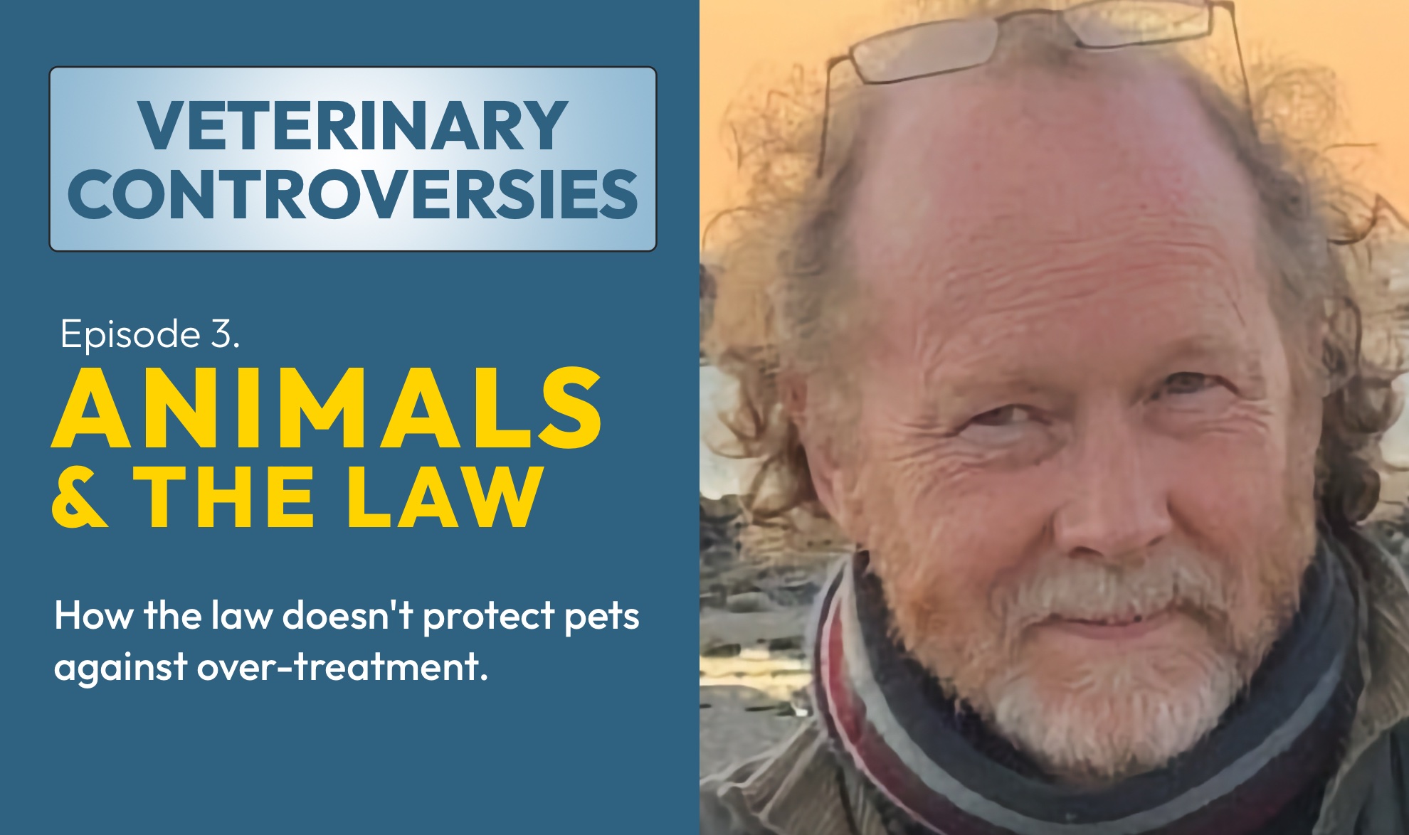 How the law doesn't protect pets against over-treatment