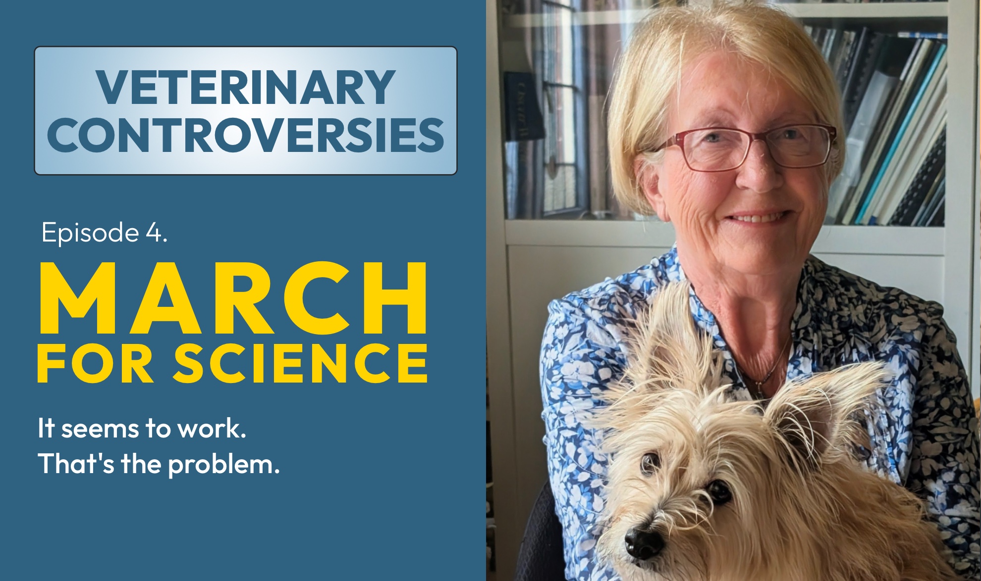 Veterinary Controversies: It Seemed To Work. That’s The Problem