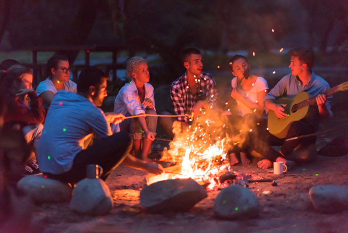 RCVS To Host More Campfire Chats For Vet Nurses VetNurse News Vet 