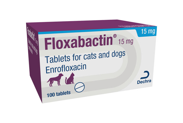 Dechra launches new antibiotic product for cats and dogs VetNurse