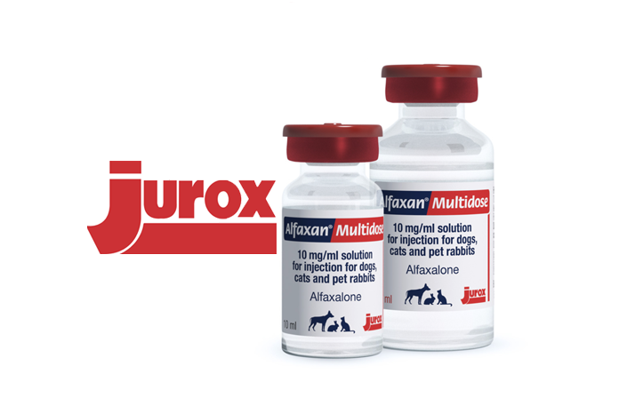 Zoetis acquires Jurox Animal Health - VetNurse News - Vet Nurse - Vet Nurse