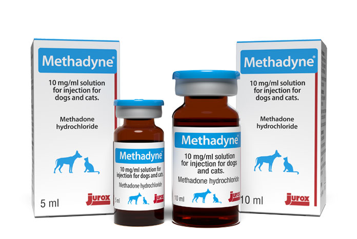 Methadyne now comes in 10mg/ml 5ml vial size - VetNurse News - Vet ...