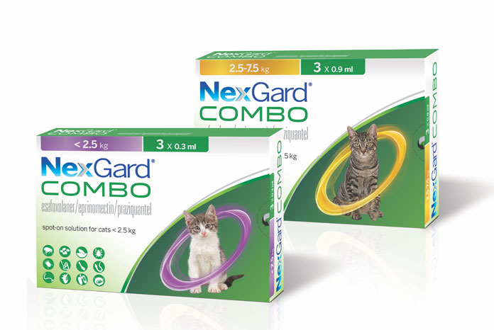 boehringher-launches-nexgard-combo-spot-on-for-cats-vetnurse-news