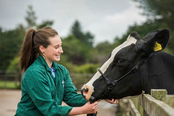 scotland-to-get-first-new-vet-school-in-150-years-vetnurse-news-vet