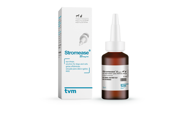 Chloramphenicol eye drops clearance for cats uk