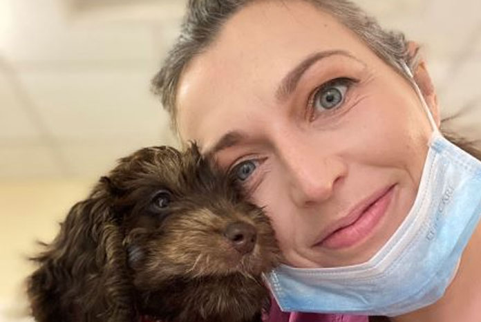 vet-nurses-urged-to-take-part-in-puppy-tooth-census-vetnurse-news