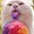 Leanne Seal