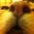 Kirsty T