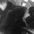 LoveCat