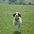 katieg_20