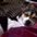 dupey18
