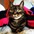 lizzie_1985