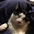 catsrule