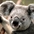 Andrea Saxton