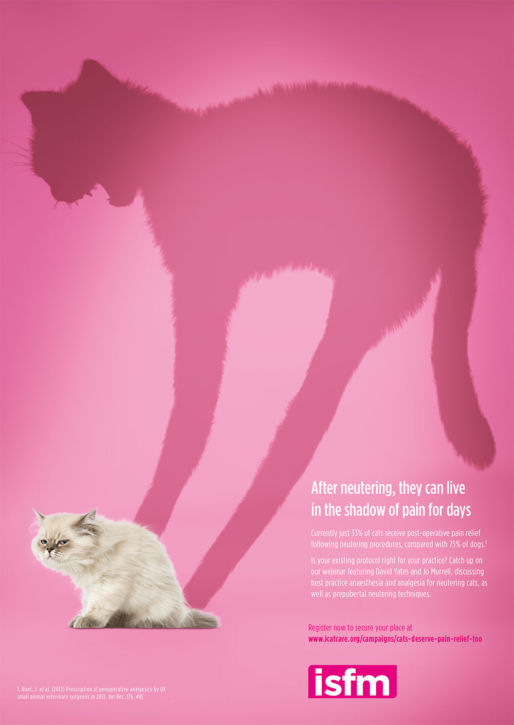 Campaign for better postneutering pain relief for cats VetNurse News Vet Nurse Vet Nurse