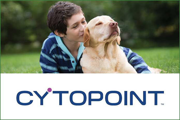 cytopoint injectable