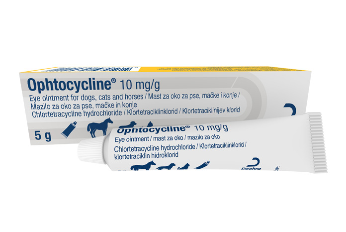 Dechra launches new ophthalmic antibiotic for cats, dogs and horses