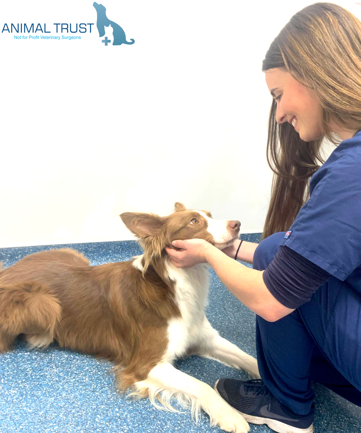 Job: Registered Veterinary Nurse. Animal Trust , Ellesmere  