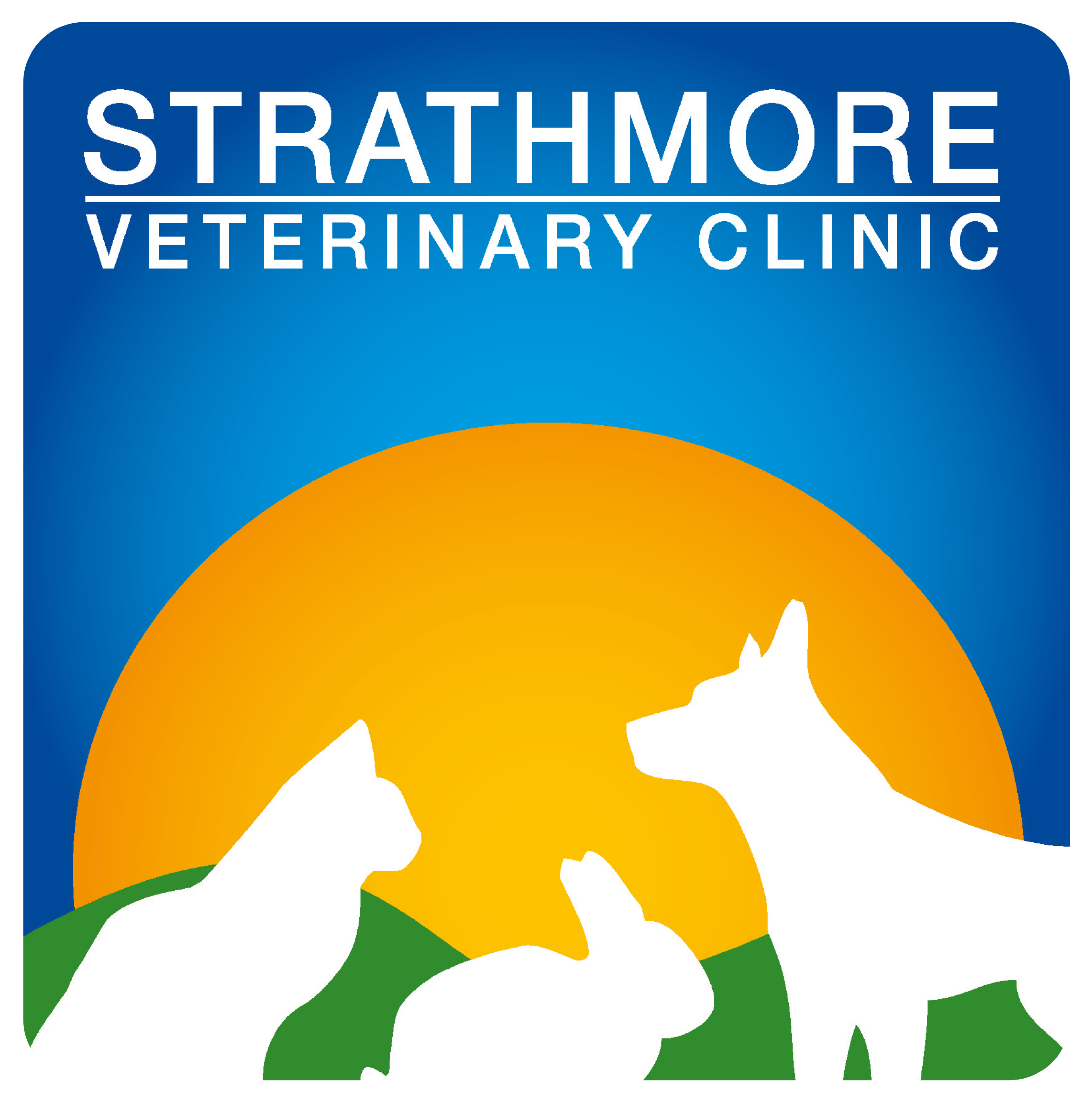 Job Registered Veterinary Nurse. Strathmore Veterinary Clinic