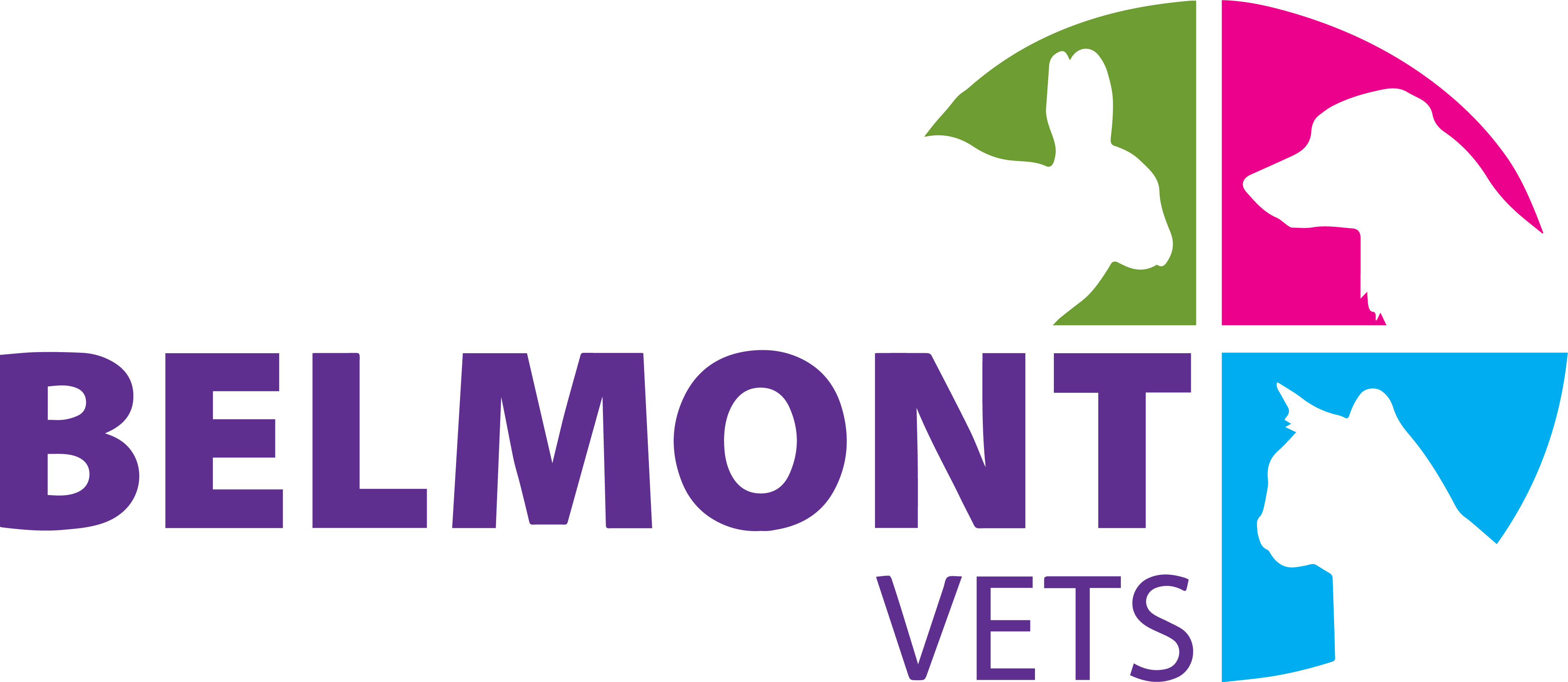 Job Head Veterinary Nurse. Belmont Vets, Herefordshire Jobs Vet