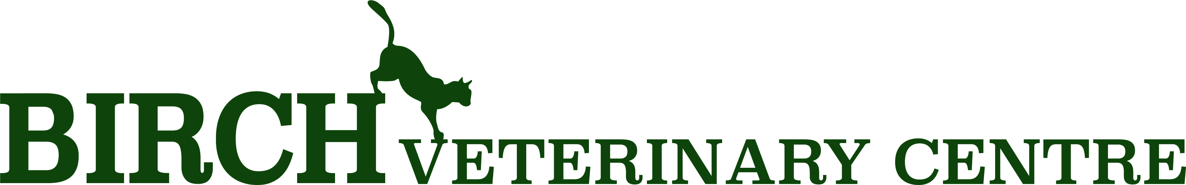 Job Registered Veterinary Nurse. Birch Veterinary Centre, Birkenhead