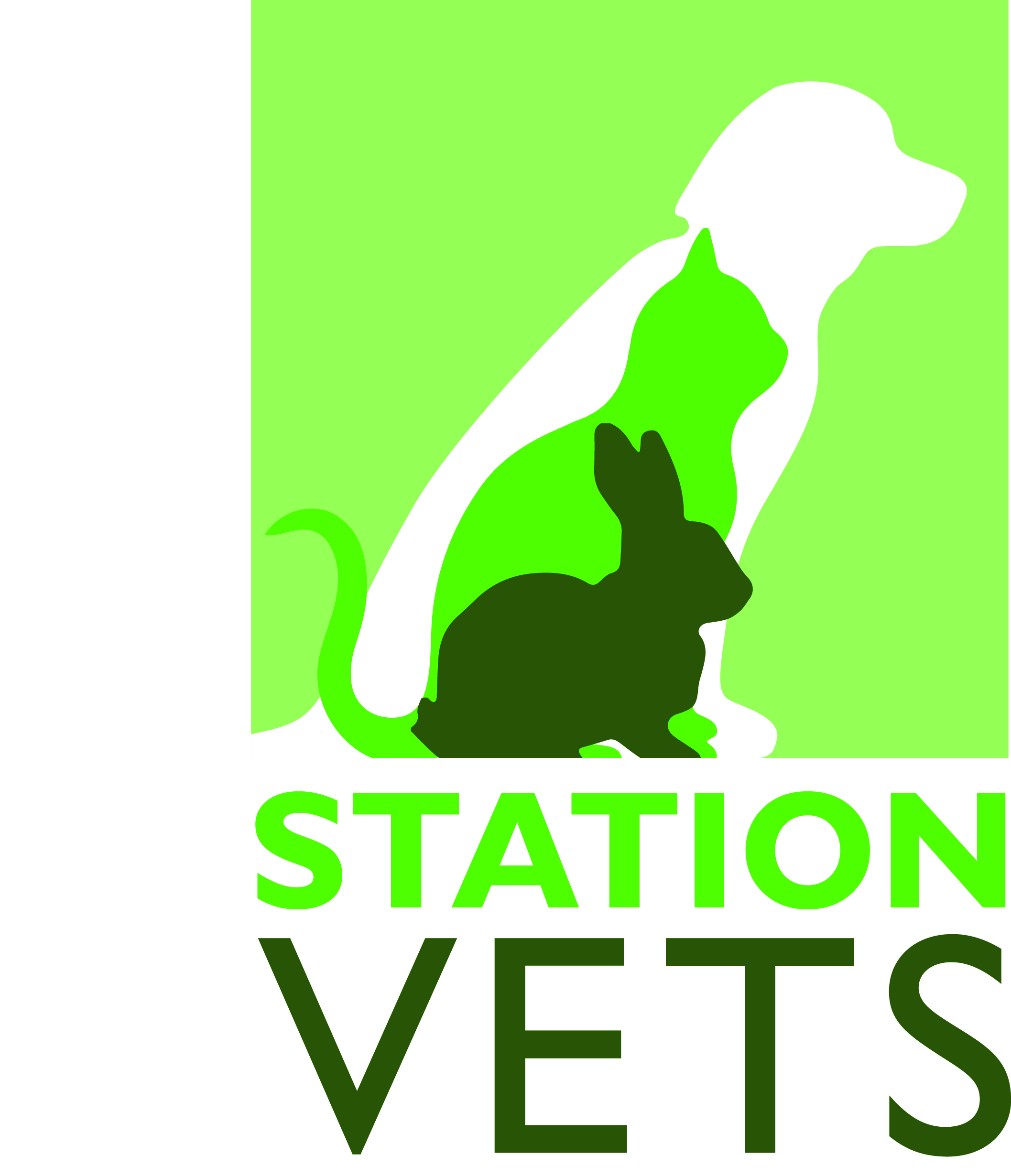 Job Senior Registered Veterinary Nurse . Station Veterinary Surgery